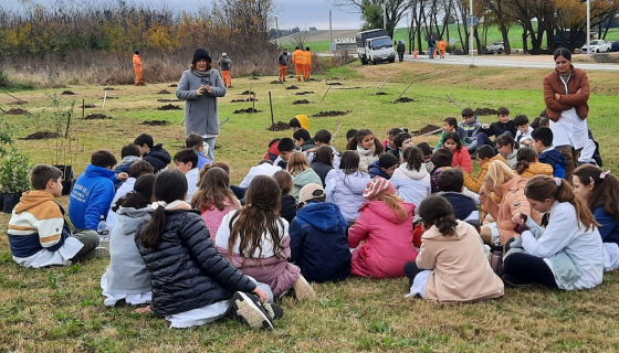 Patrimonio arbóreo y educación ambiental