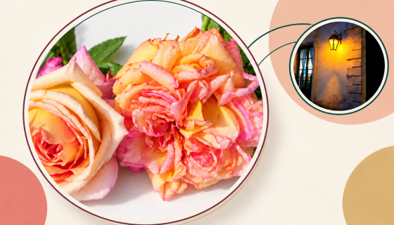 Rosas, Paisajismo y Patrimonio